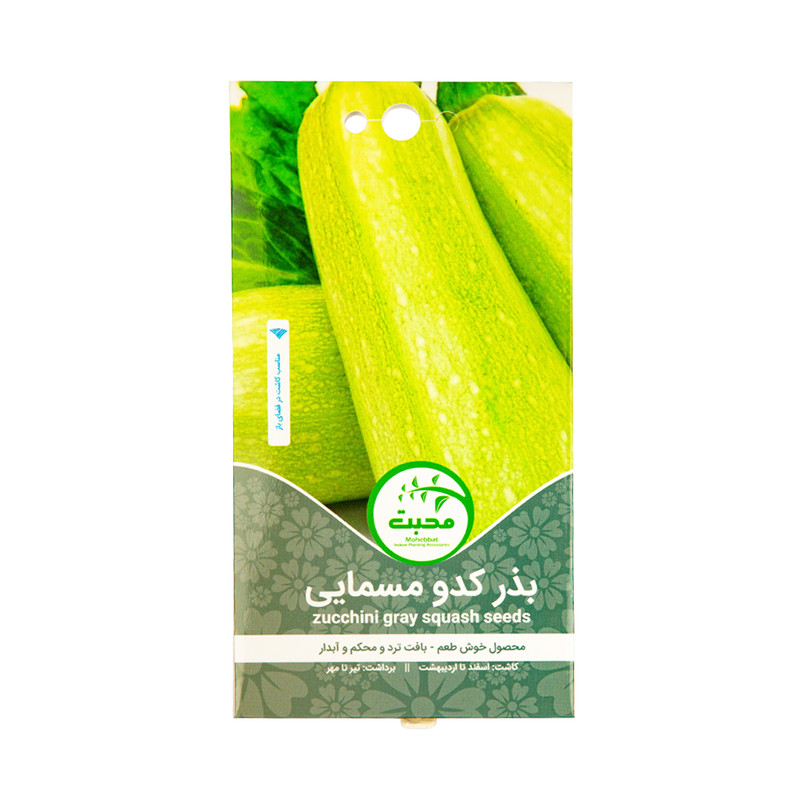 بذر کدو مسمایی محبت مدل zucchini