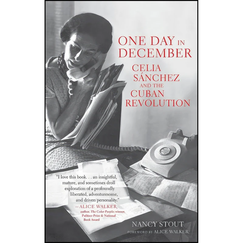 کتاب One Day in December اثر Nancy Stout and Alice Walker انتشارات Monthly Review Press
