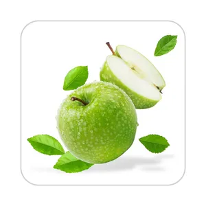 زیر لیوانی کاکتی طرح میوه مدل mp20837