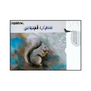 کتاب سنجاب کم حواس اثر مریم اسلامی انتشارات کانون پرورش فکری کودکان و نوجوانان 