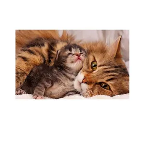   پادری مدل حیوانات کد HSHMA0023 سایز 76x46 سانتی متر