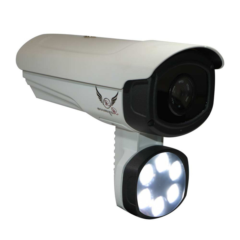 دوربین مداربسته تحت شبکه رایمون مدل RB 1100 IP GC 2MP