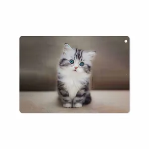MAHOOT Cat-2 Cover Sticker for Apple iPad 9.7 GEN 5 2017 A1822