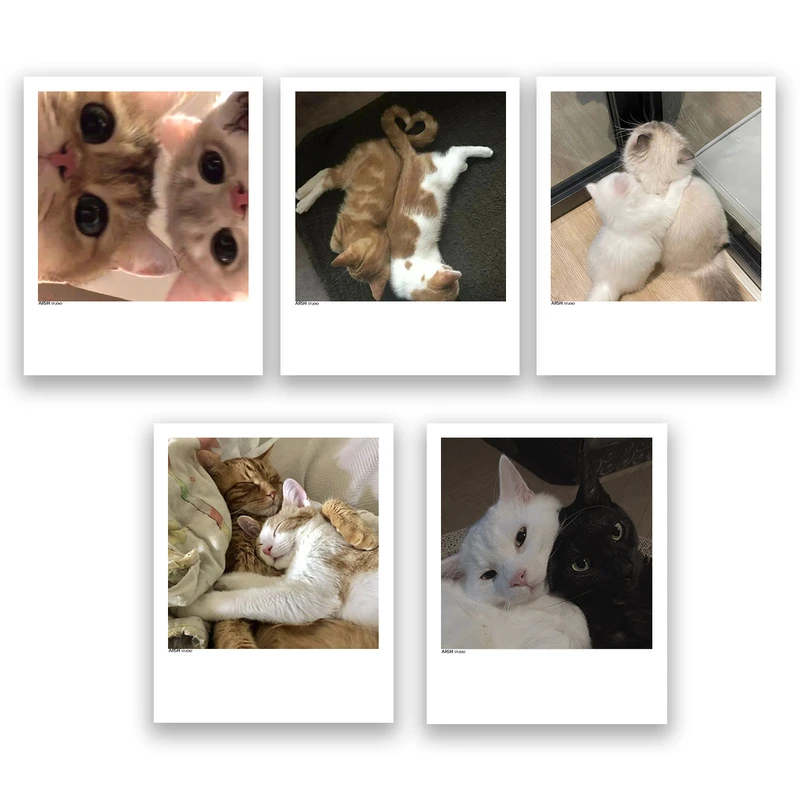 آویز تزیینی عرش مدل فانتزی گربه بامزه کد Asa336 مجموعه پنچ عددی