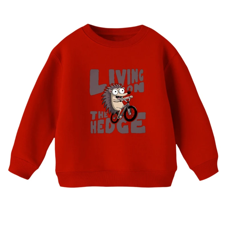 سویشرت بچگانه مدل جوجه تیغی و دوچرخه 