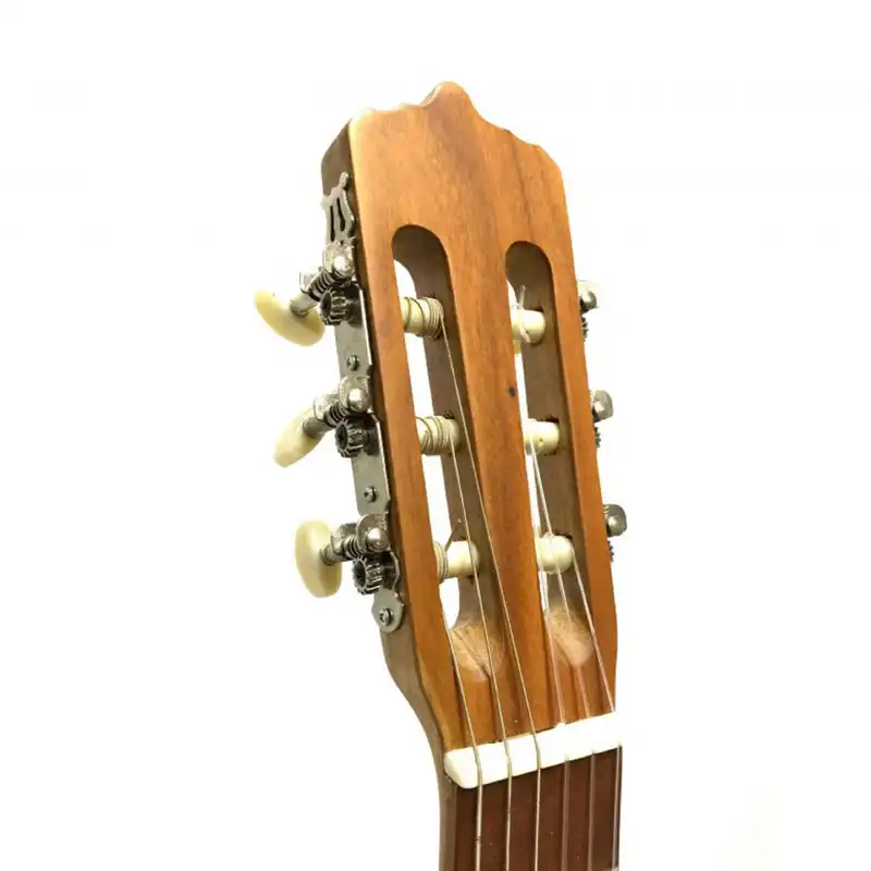 گیتار مدل M6