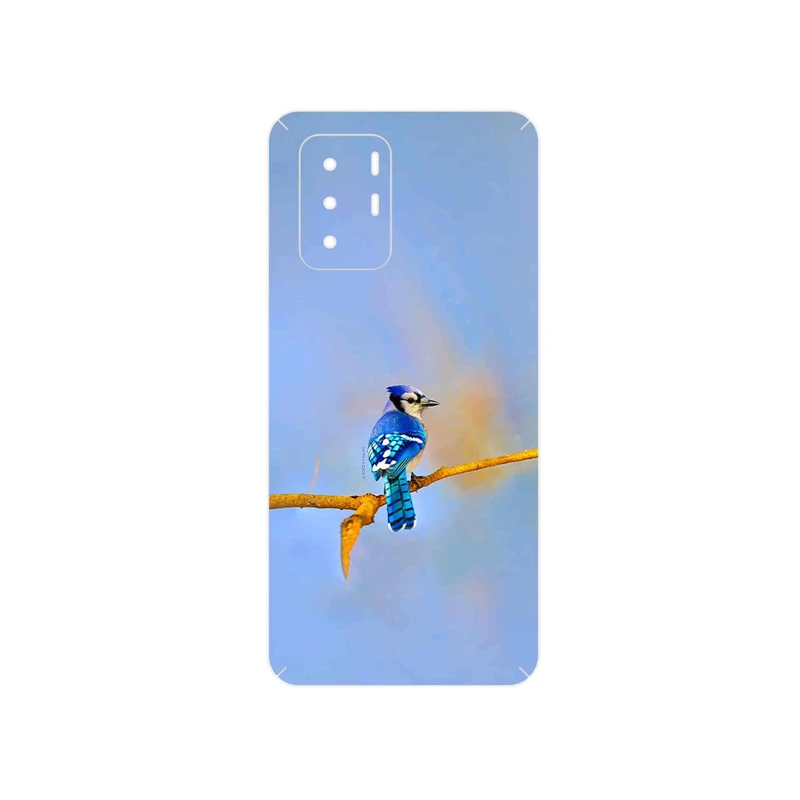 برچسب پوششی ماهوت مدل Cyanocitta cristata مناسب برای گوشی موبایل شیائومی Poco X3 GT 5G