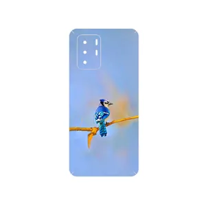 MAHOOT Cyanocitta cristata Cover Sticker for Xiaomi Poco X3 GT 5G