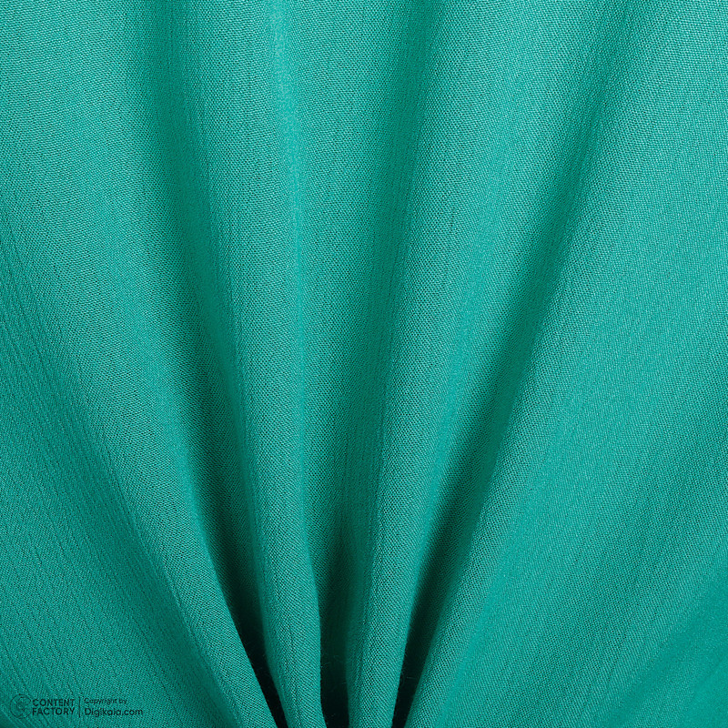 بلوز آستین بلند زنانه پارک کارون مدل 110