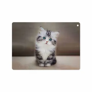 MAHOOT Cat-2 Cover Sticker for Apple iPad 9.7 GEN 5 2017 A1823
