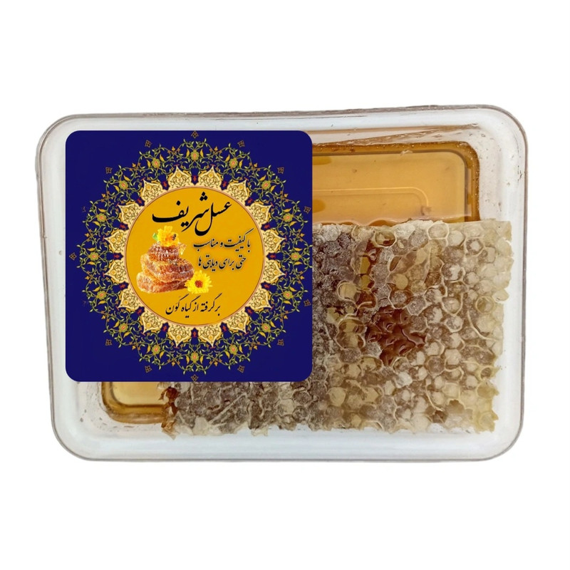 عسل طبیعی گون باموم شریف - 500 گرم