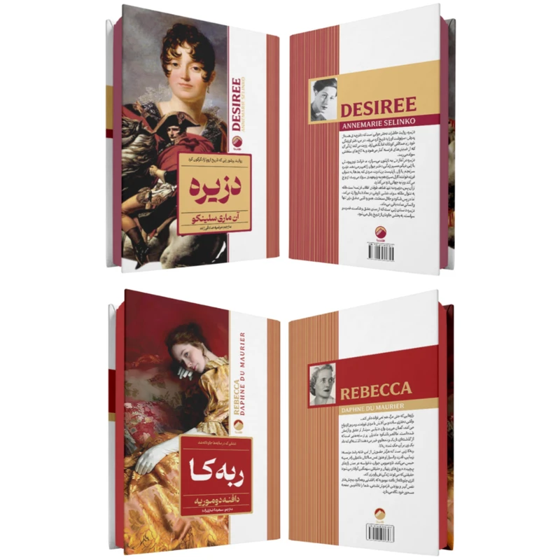 عکس شماره 3 : کتاب ربه کا، بلندی های بادگیر، صد سال تنهایی، دزیره، جنایت و مکافات، غرور و تعصب اثر جمعی از نویسندگان انتشارات هیتا مجموعه 6 جلدی