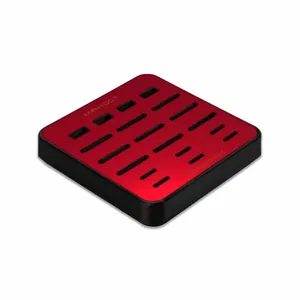 MAHOOT Digital Storage Organizer Matte_Warm_Red-496 For USB-SD Card
