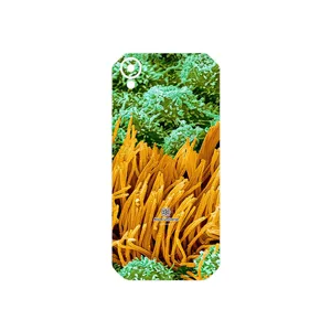 MAHOOT Atom Universe 6 Cover Sticker for CAT S41