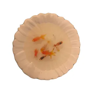 دکوری مدل حوض ماهی