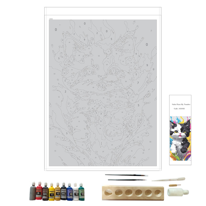 بسته رنگ آمیزی سالوت مدل آکرولیک کد 031018 مجموعه 18 عددی