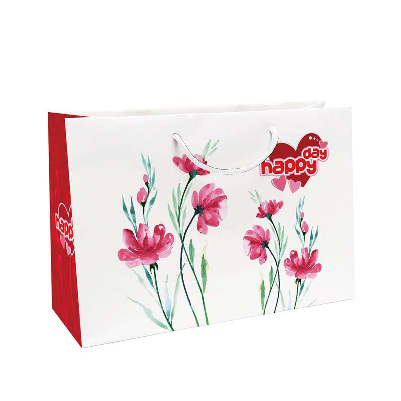 ساک دستی کد 10420 بسته 12 عددی