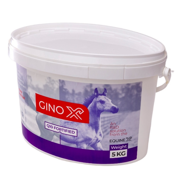 مکمل اسب اکوئین ایکس مدل جینوکس وزن 5 کیلوگرم