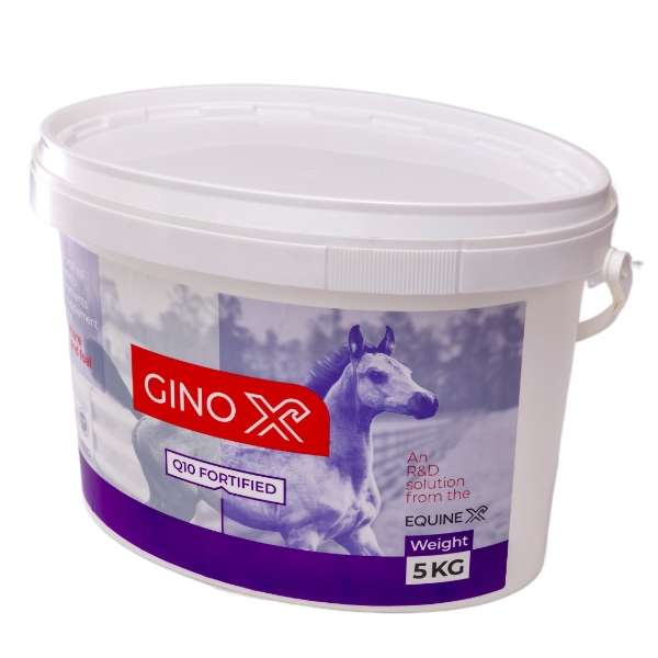 مکمل اسب اکوئین ایکس مدل جینوکس وزن 5 کیلوگرم مکمل اسب اکوئین ایکس مدل جینوکس وزن 5 کیلوگرم