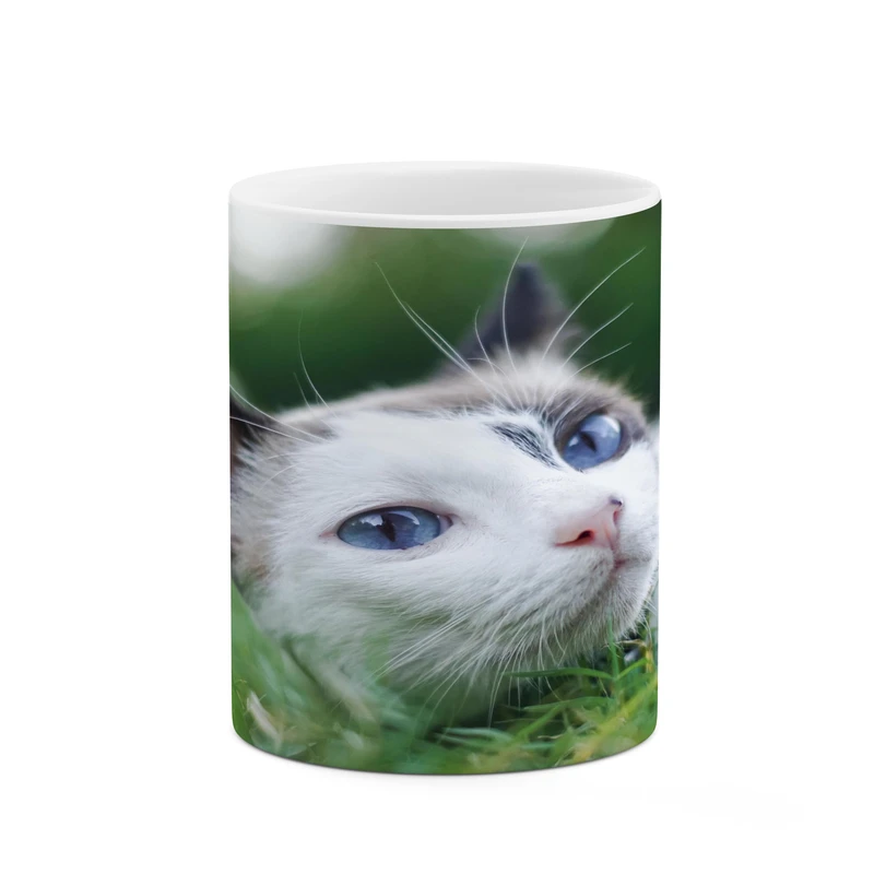 ماگ کاکتی مدل گربه کد mgh17213