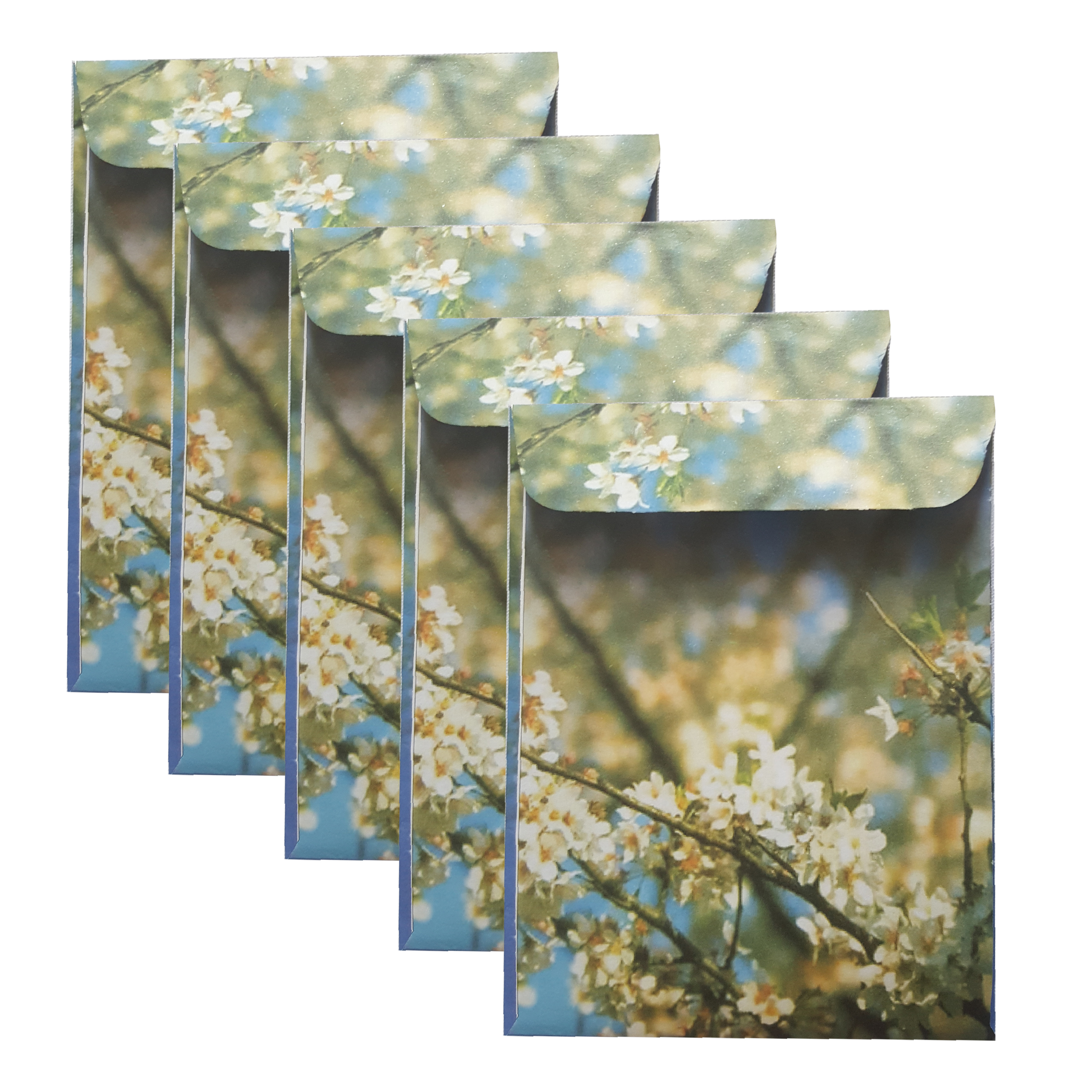 پاکت پول مدل شکوفه کد 12 بسته 5 عددی