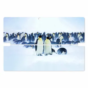 MAHOOT Penguin Cover Sticker for Lenovo Miix 510 2016