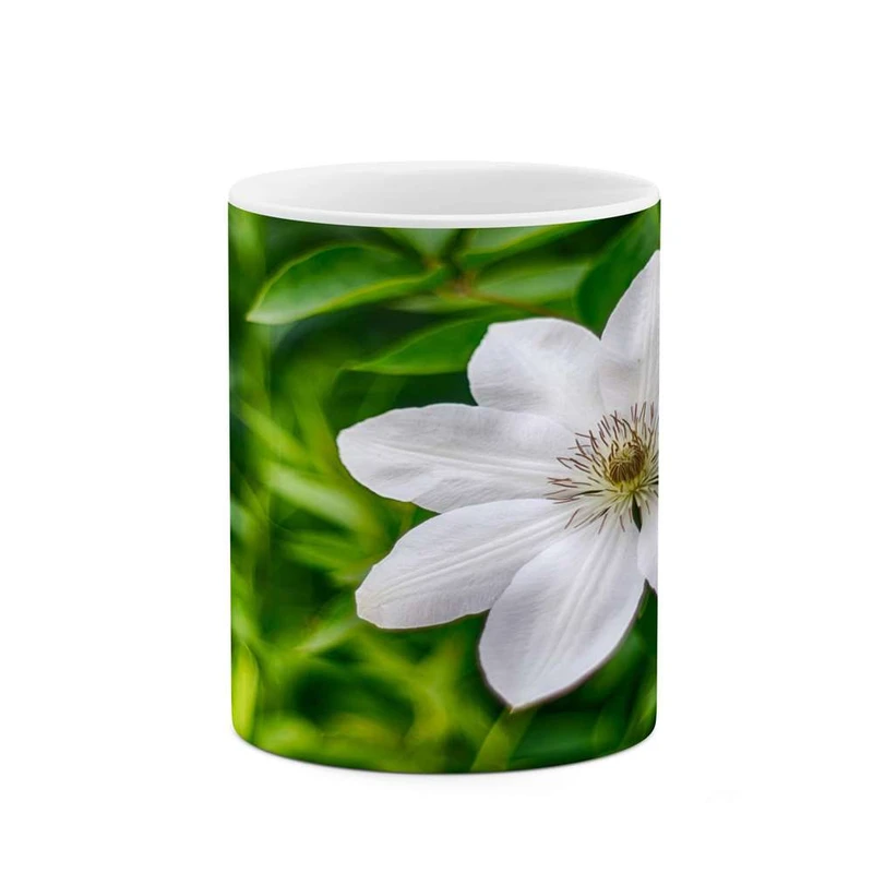 ماگ کاکتی مدل گل کد mgh14054