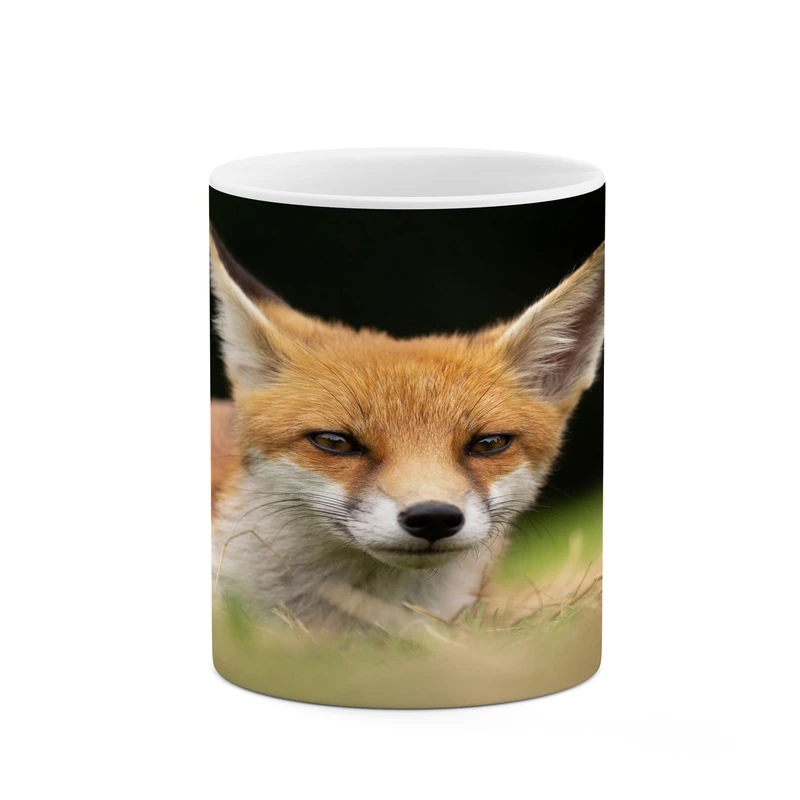 ماگ کاکتی مدل روباه کد mgh17430