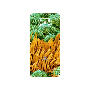 MAHOOT Atom Universe 6 Cover Sticker for Xiaomi Poco X3 NFC