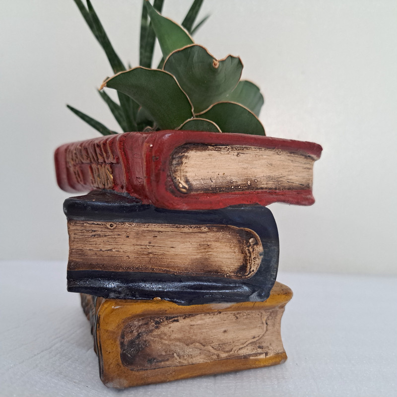 گل طبیعی سانسوریا مدل کتاب