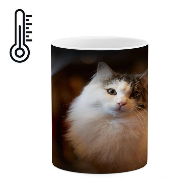 ماگ حرارتی کاکتی مدل گربه کد mgh16853