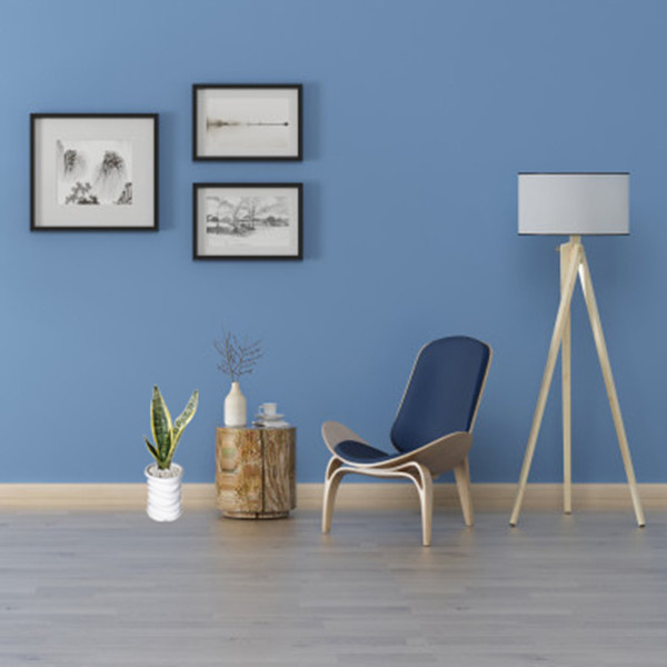 گیاه طبیعی سانسوریا کراواتی ابلق کد AS-88