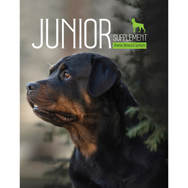 پودر مکمل سگ بالغ و جوان بایو پت مدل Junior وزن 400 گرم