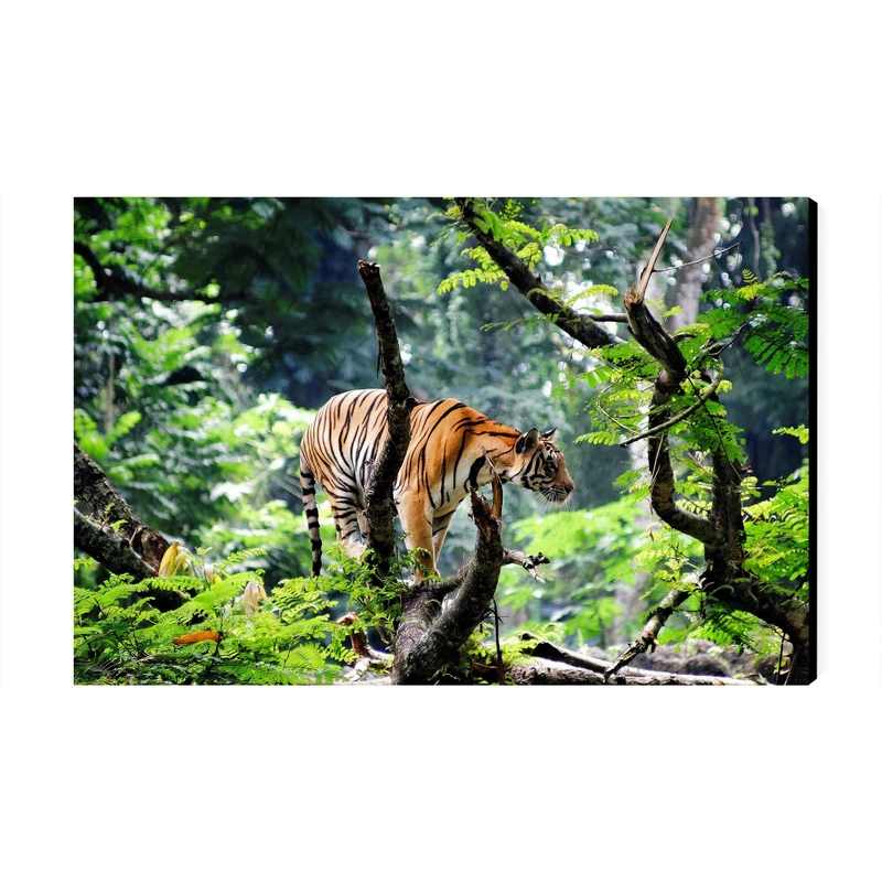 تابلو شاسی عرش مدل فانتزی طبیعت جنگل ببر کد As3989