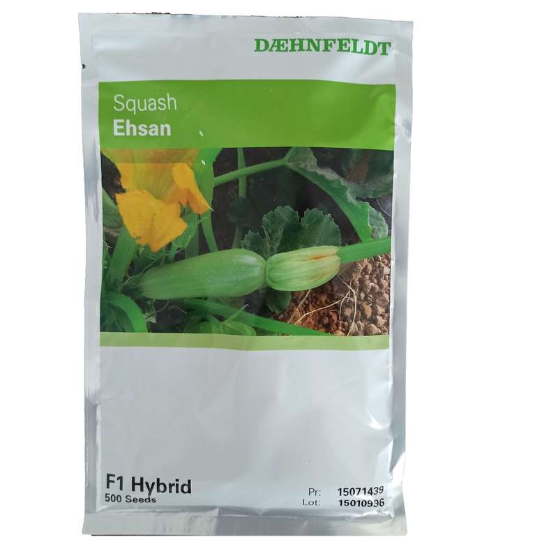 بذر کدو سبز احسان مدل f1 hybrid بسته 500 عددی 
