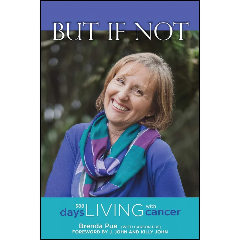 کتاب But If Not اثر جمعي از نويسندگان انتشارات Castle Quay Books