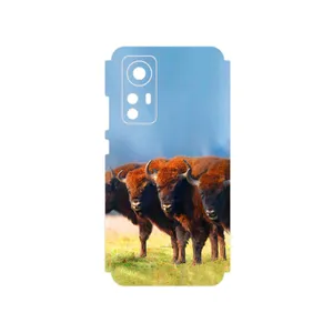 MAHOOT Buffalo Cover Sticker for Xiaomi 12X