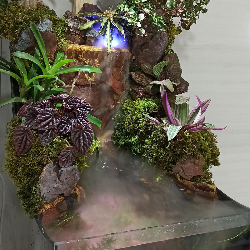 گیاه طبیعی مدل پالوداریوم نیاگارا گیاه طبیعی مدل پالوداریوم نیاگارا