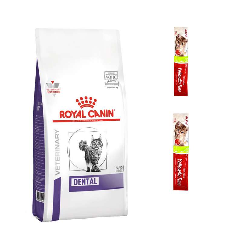غذای خشک گربه رویال کنین مدل dental وزن 1.5 کیلوگرم به همراه بستنی گربه