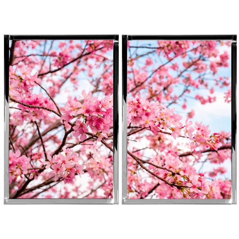 تابلو آینه مدل شکوفه بهاری بسته دوعددی