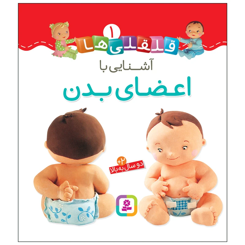 کتاب قلقلی ها 1 آشنایی با اعضای بدن اثر امیلی بومون انتشارات قدیانی