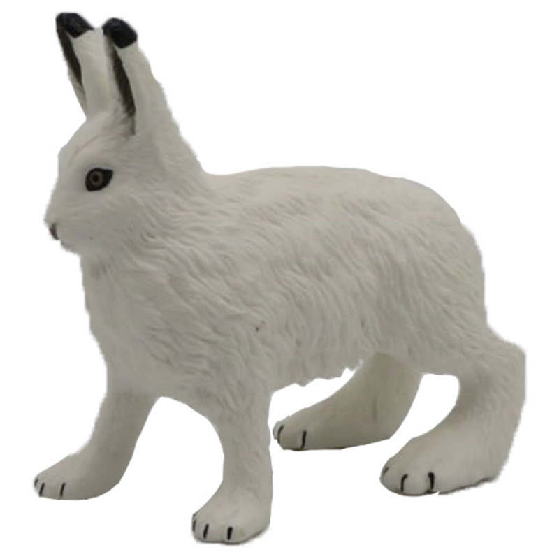 فیگور مدل خرگوش