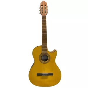 گیتار الوین مدل C3