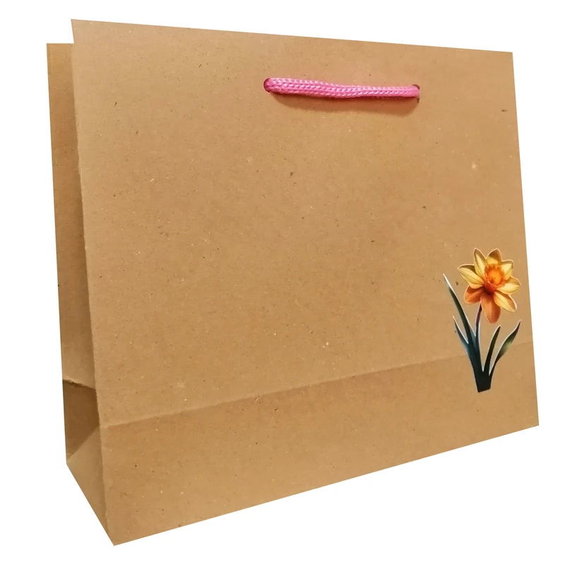 پاکت هدیه مدل عید نوروز و گل نرگس مجموعه 10 عددی