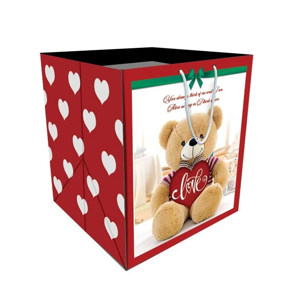 ساک هدیه مدل 10128 بسته 12 عددی