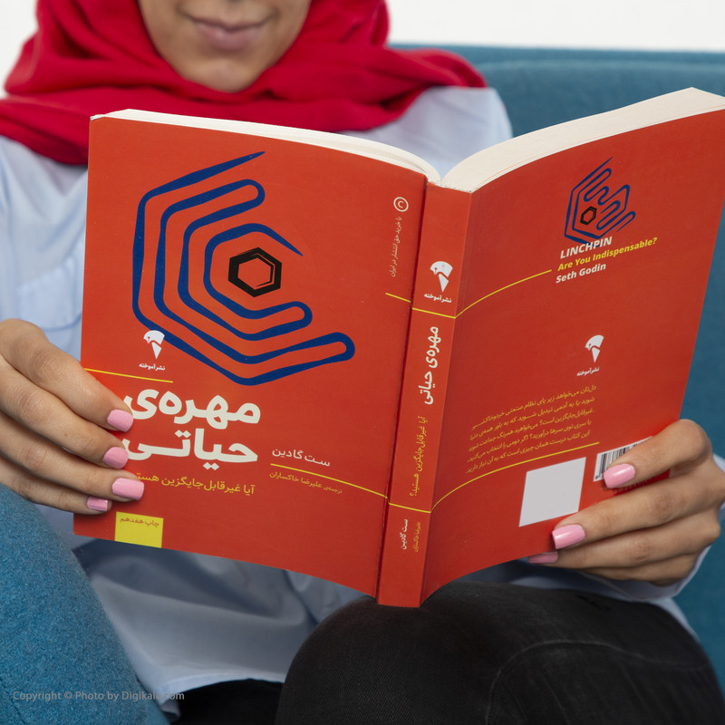 کتاب مهره حیاتی اثر ست گادین انتشارات ویدا