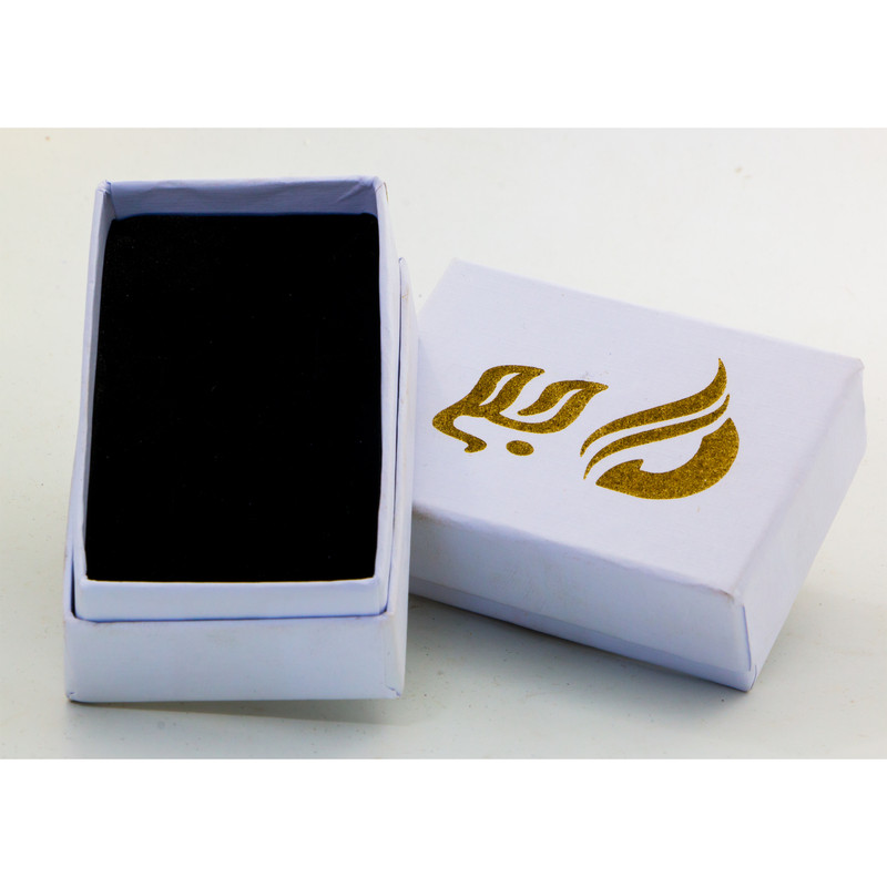 گوشواره نقره زنانه دلی جم طرح  گربه  کد D 487