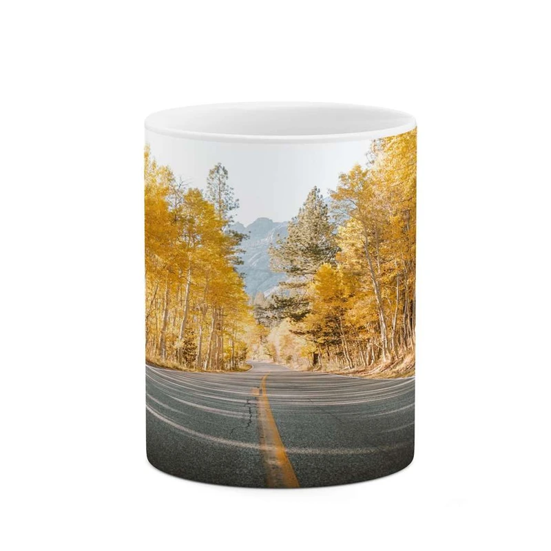 ماگ کاکتی مدل جاده کد mgh15553