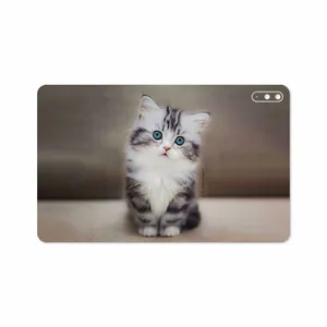 MAHOOT Cat-2 Cover Sticker for Huawei Matepad 10.4 2020 BAH3-L09