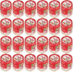 کنسرو ماهی تون با سیر و فلفل شیلانه - 180 گرم بسته 24 عددی